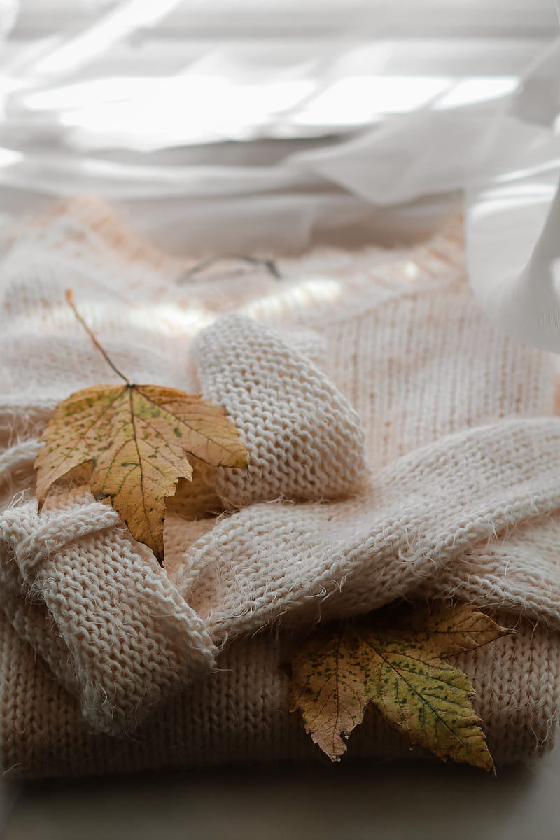 maple, sweater, autumn, leaf, HD phone wallpaper