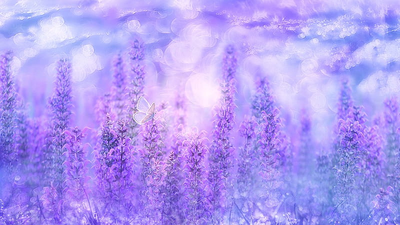 Lavander Phlox, art, paint, spring, lavender, floral, flox, purple, summer, flowers, Firefox Persona theme, watercolor, HD wallpaper