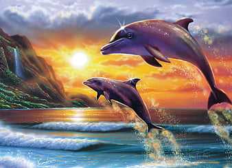 Free download Nature Beach Sunset Dolphins High Resolution Wallpaper  Widescreen 960x854 for your Desktop Mobile  Tablet  Explore 46 Beach Dolphin  Wallpaper  Wallpaper Dolphin Free Dolphin Wallpaper Dolphin Wallpapers