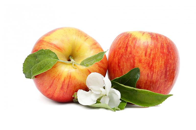 Apple for Elaine, apple, fruit, health, food, HD wallpaper