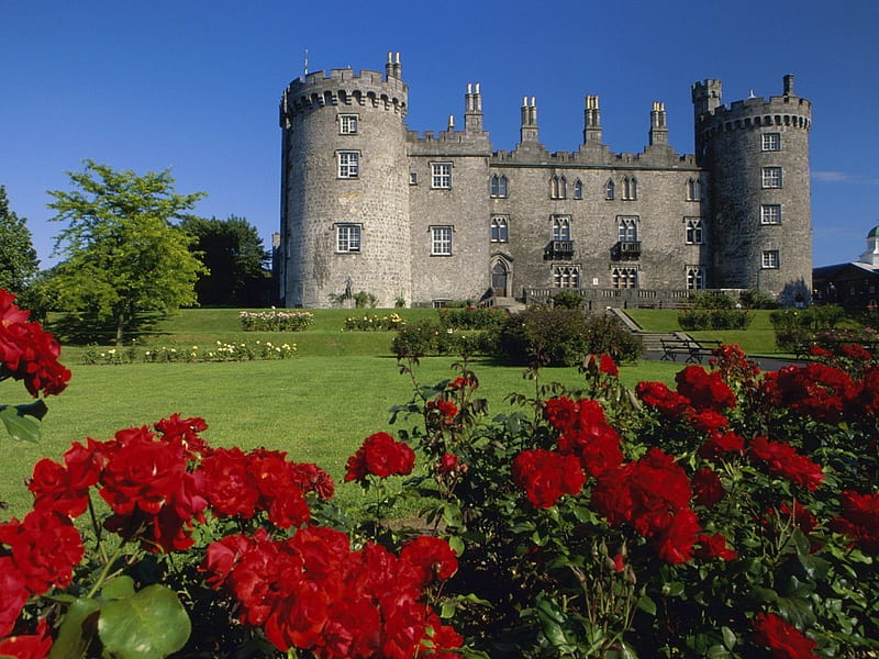 Castle and Rose garden in Ireland, architecture, red roses, Ireland, roses, castle, HD wallpaper