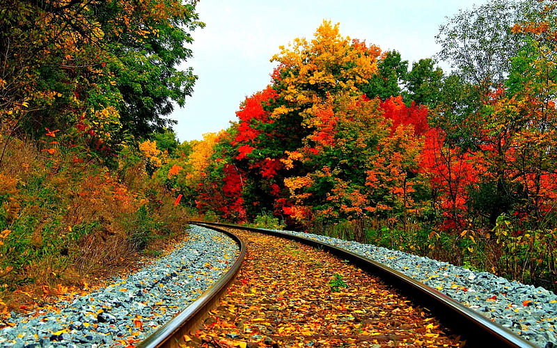 Railroad in Autumn, leaves, stones, bush, colors, trees, rails, HD wallpaper