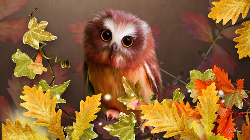 Cute Autumn Owl, owl, fall, autumn, leaves, brown, big eyes, oak, ivy, HD wallpaper