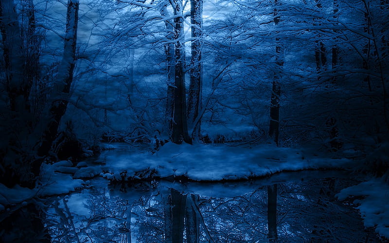 reflection over the water, forest, lake, very nice , snow, ice, reflection, over the water, blue, night, HD wallpaper