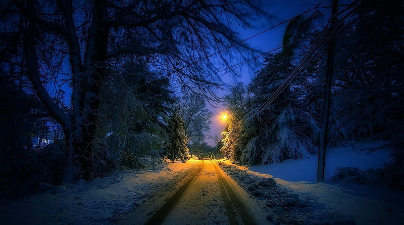 A Cold Winter Night, snow, cold, lights, night, winter, HD wallpaper