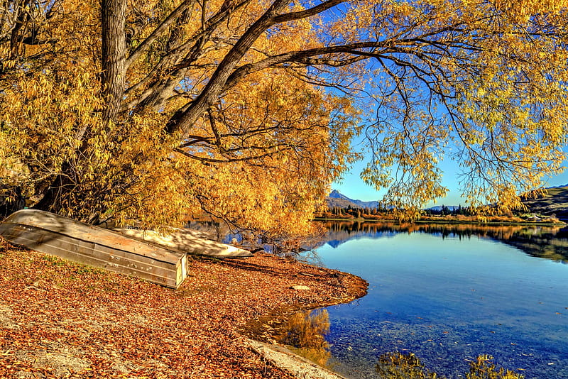 Shore of lake Hayes, shore, autumn, bonito, trees, lake, foliage, leaves, all, serenity, branches, HD wallpaper