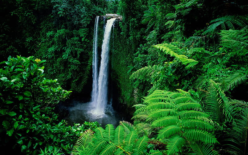 Waterfall In Forest – Print A Wallpaper