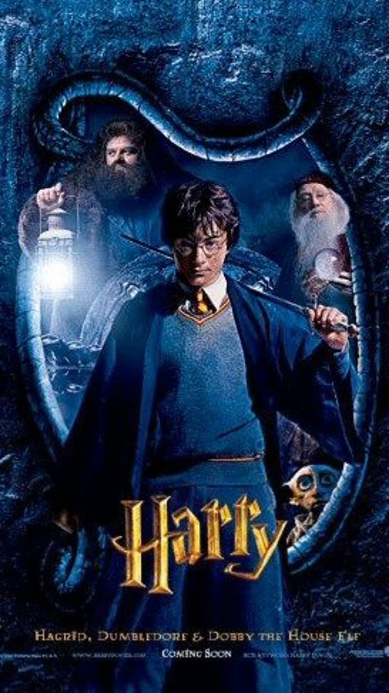 Harry potter harry, película, movimientos, Fondo de pantalla de teléfono HD  | Peakpx