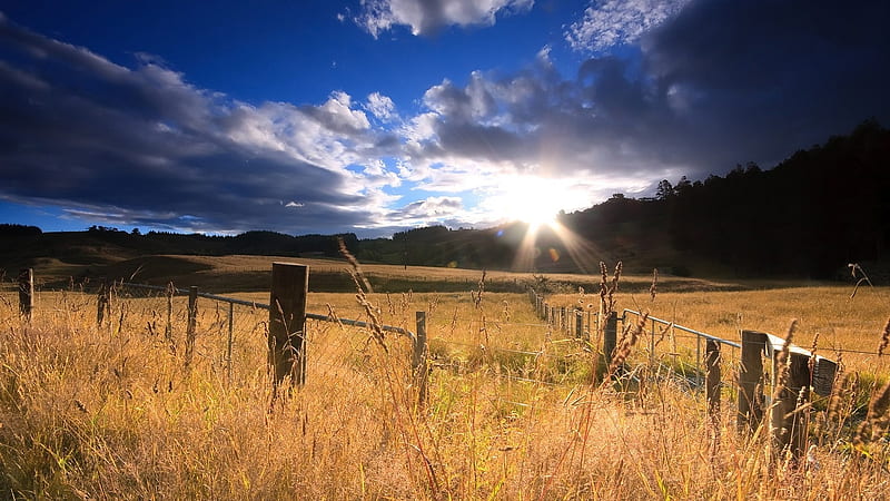 sunbeams over pastures in new zealand, fence, pastures fields, sunbeams, clouds, sky, HD wallpaper