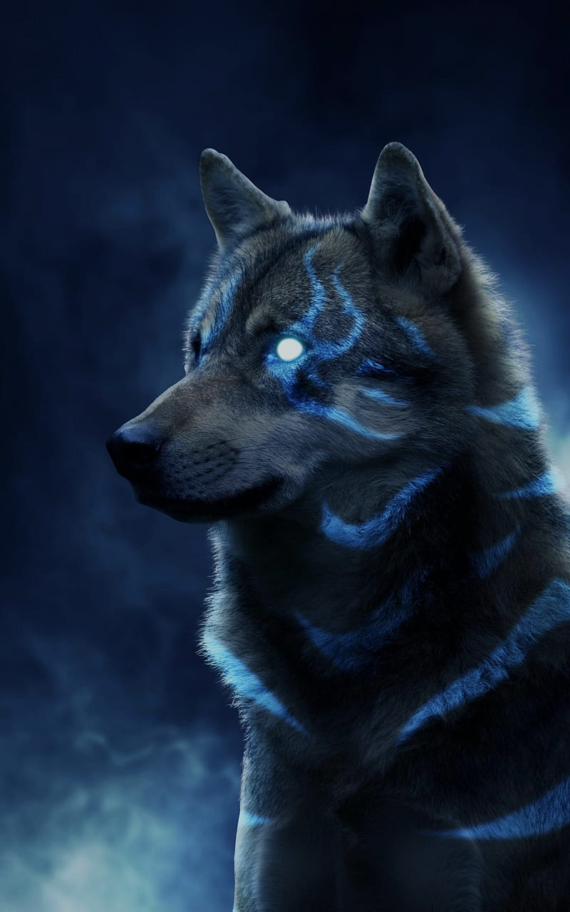 Wolf of Power, grey sky, blue, husky, grey, HD phone wallpaper