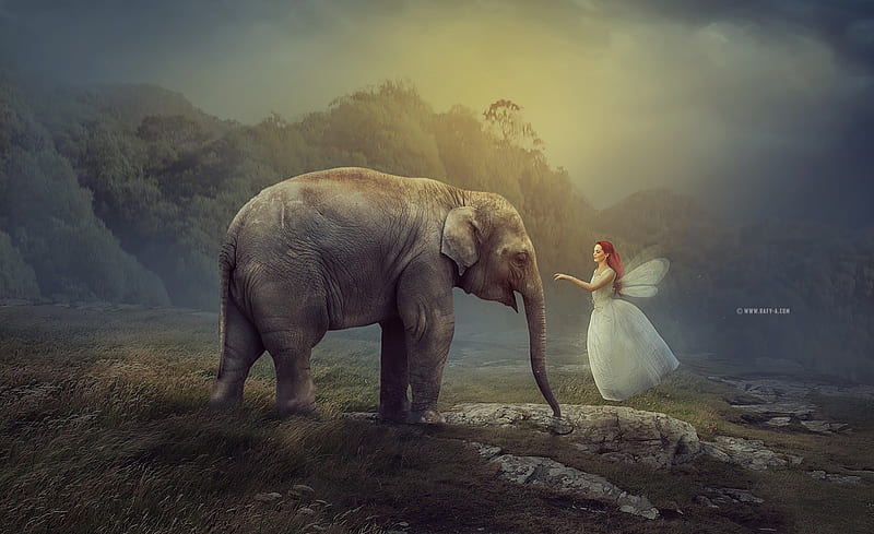 An elephant meeting a fairy, fantasy, girl, elephant, rafy a, creative, fairy, animal, HD wallpaper