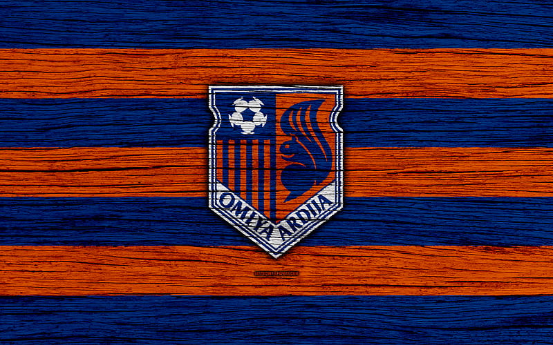 Omiya Ardija emblem, J-League, wooden texture, japan, Omiya Ardija FC, soccer, football club, logo, FC Omiya Ardija, HD wallpaper