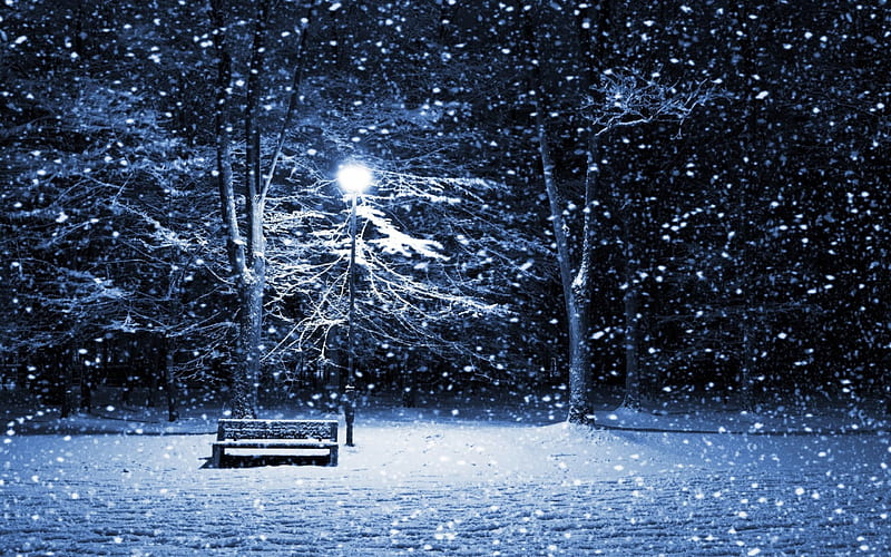 Snowy Park Bench, park bench, winter storm, snowstorm, snowy, winter, HD wallpaper
