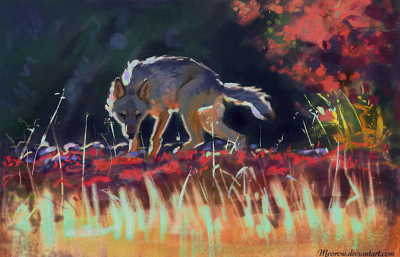 wolf, predator, grass, wildlife, art, HD wallpaper