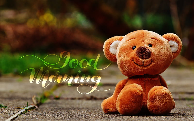 Good Morning brown teddy bear, blurred background, artwork, Good Morning concepts, Good Morning wish, HD wallpaper