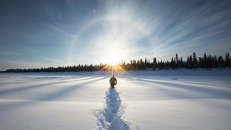 man trudging through snow towards sunrise, halo, snow, sunrise, man, trees, tracks, field, winter, HD wallpaper
