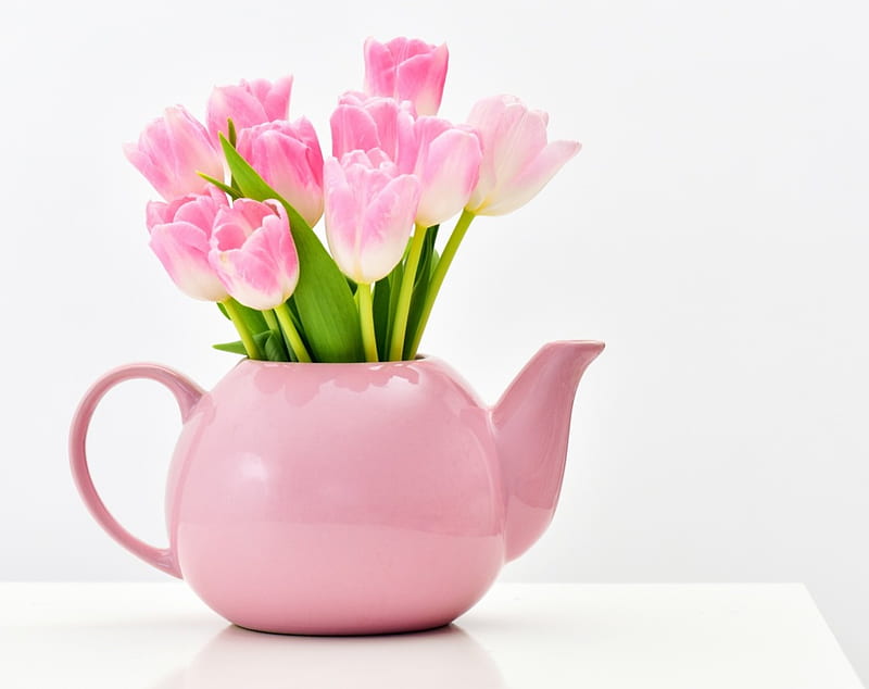 Tulips, teapot, green, flower, spring, white, pink, tulip, card, HD wallpaper