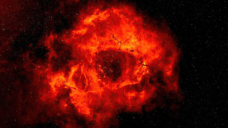 Rose Nebula , nebula, space, digital-universe, artist, artwork, digital-art, HD wallpaper