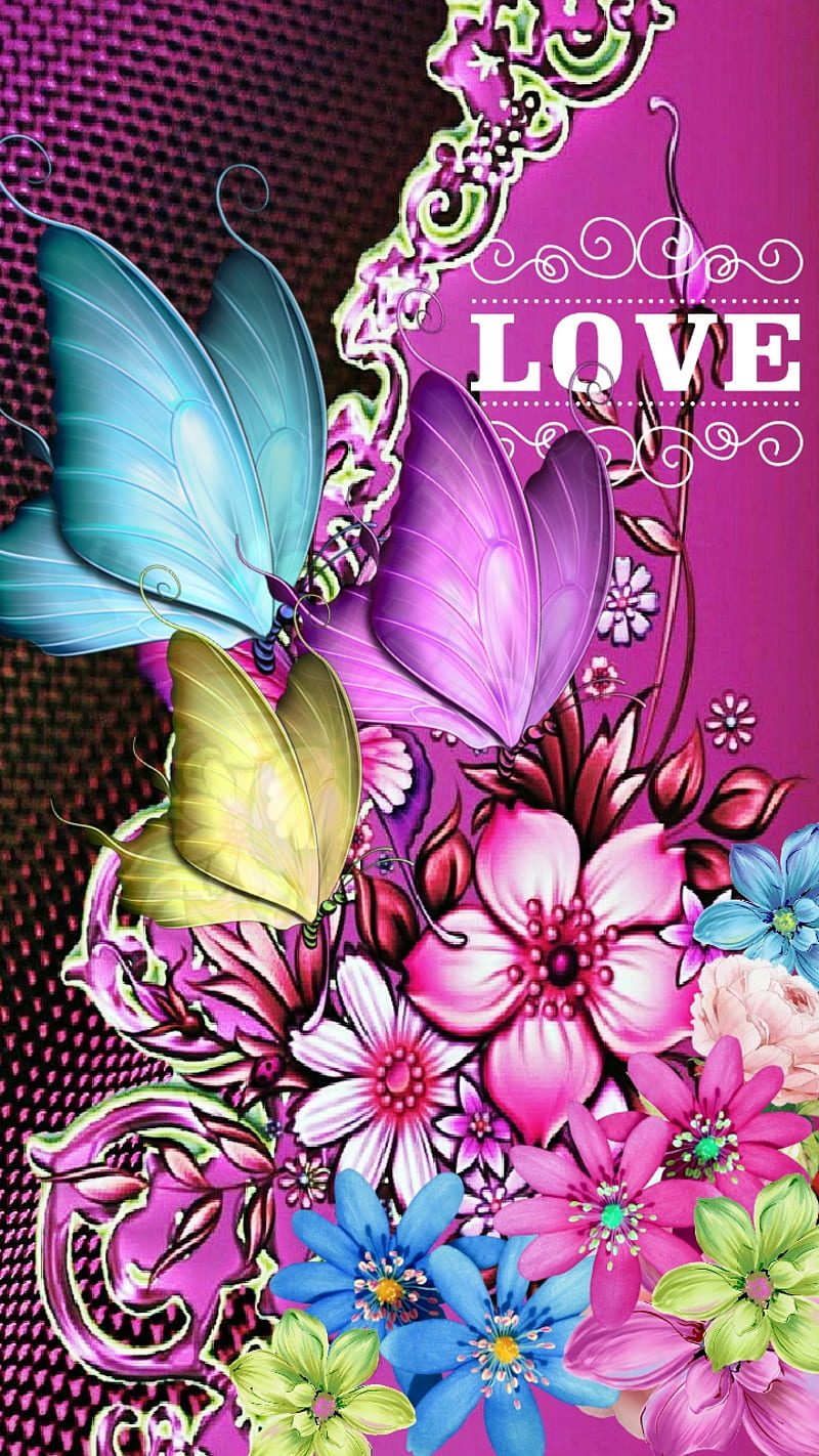 Colorful Flower and Butterfly HD wallpaper download