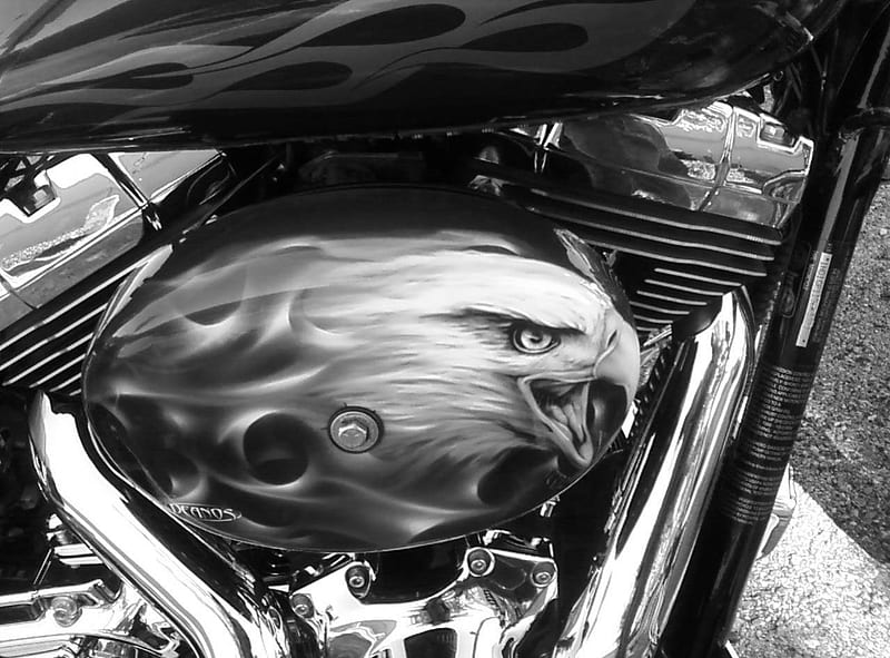 B&W Eagle, black, cool, h-d, motorcycle, HD wallpaper