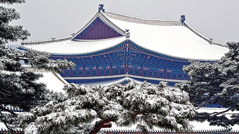 Palace of Prospering Virtue, South Korea, trees, palace, Seoul, winter, snow, landmark, virtue, tradition, HD wallpaper