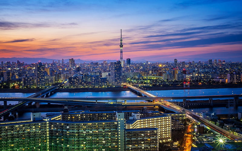 Tokyo, japan, skyscrapers, night, metropolis, cityscape, city lights, skyline, HD wallpaper