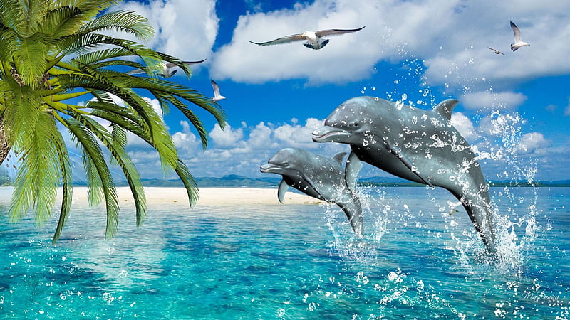 Dolphins Sea Dance, palm, sea gulls, clouds, play, sea, beach, sand, dolphins, tropicfal, tropics, blue, rest, vacation, ocean, birds, fun, waves, sky, happy, tree, water, serene, tropcial, bay, HD wallpaper