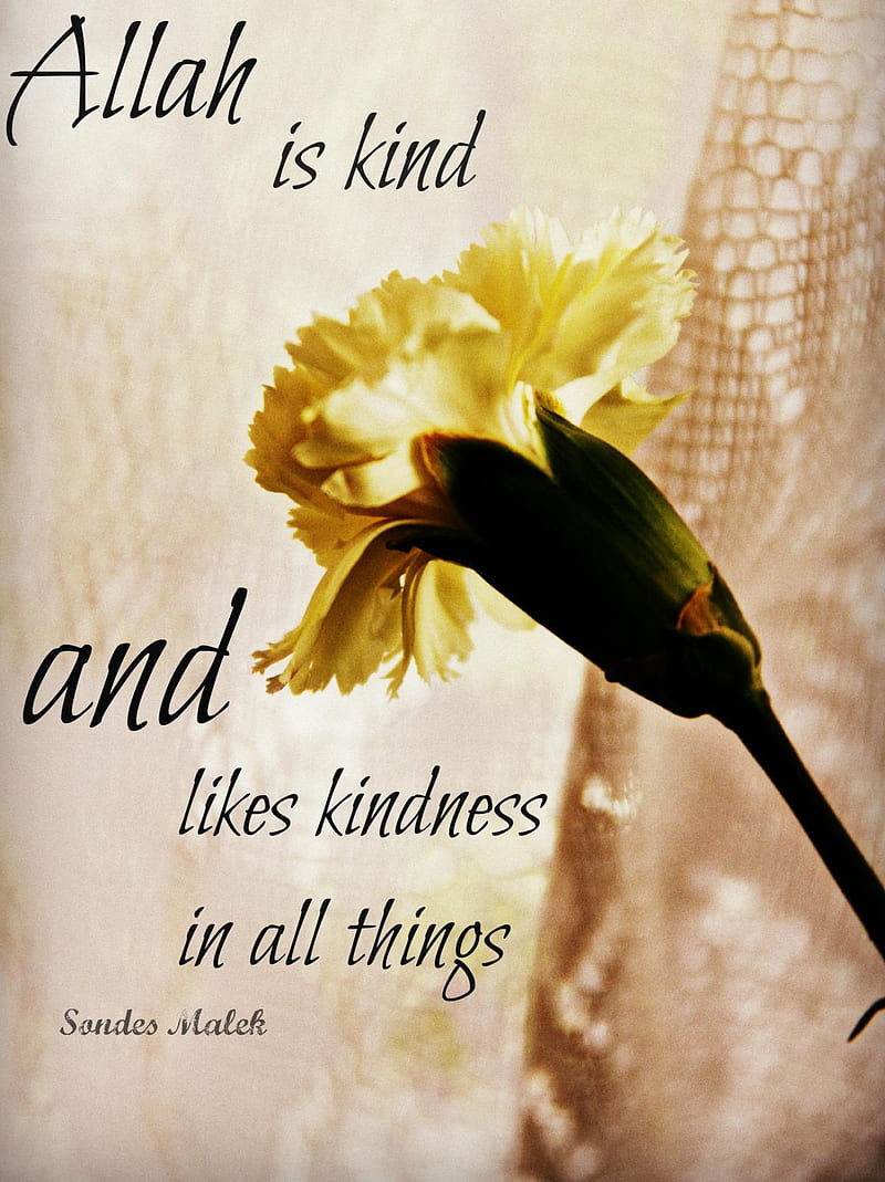 kindness quotes islam