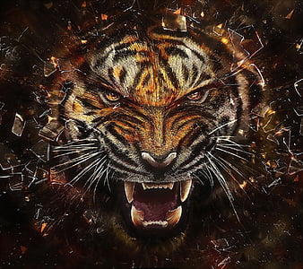 Moody Tiger Wallpapers, HD Wallpapers