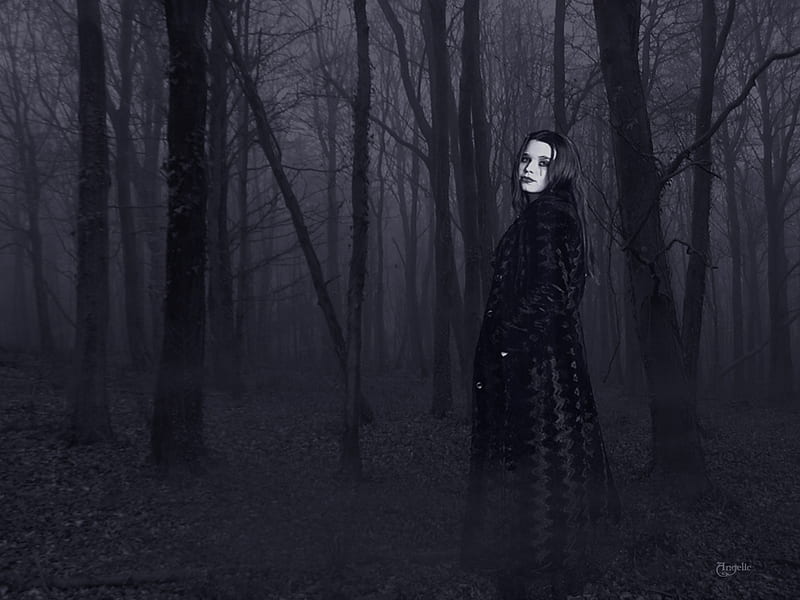 To Bid You Farewell, forest, model, gown, black, bonito, goth, dark, people, surreal, HD wallpaper
