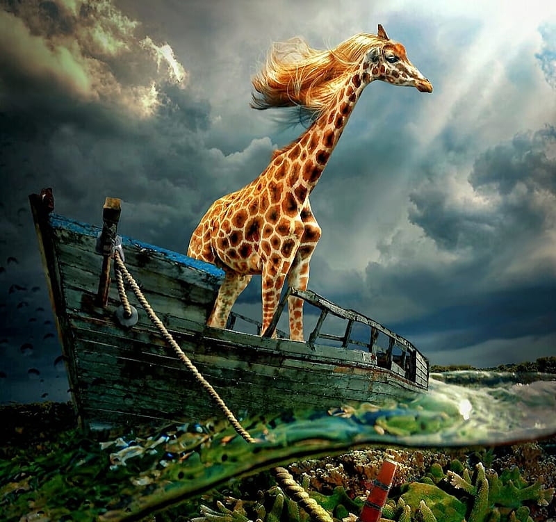 Giraffe model, model, wind, funny, magnum kaufmann, giraffe, fantaay, vara, water, boat, summer, HD wallpaper