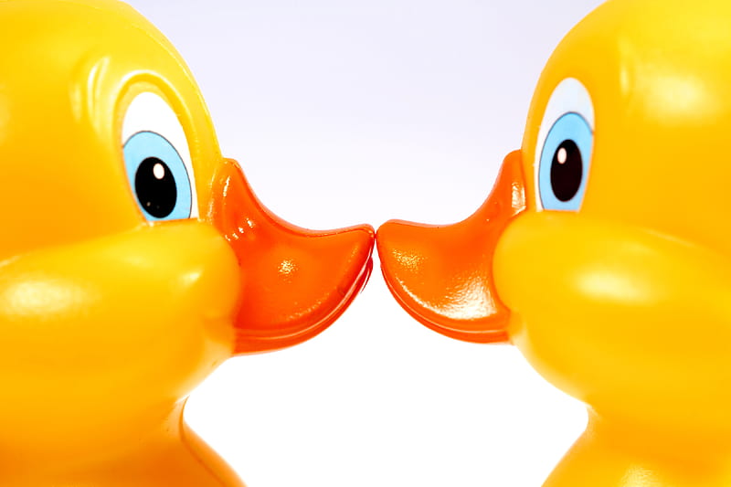 Sweet kiss for Heike ;), special, time, ducks, sunny, sisters, bath, kiss, sweet, spirit, siempre, sunshine, rubber, childhood, animals, HD wallpaper