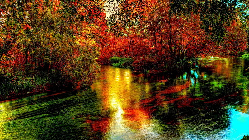 Amazing river in autumn r, autumn, leaves, river, r, trees, HD ...