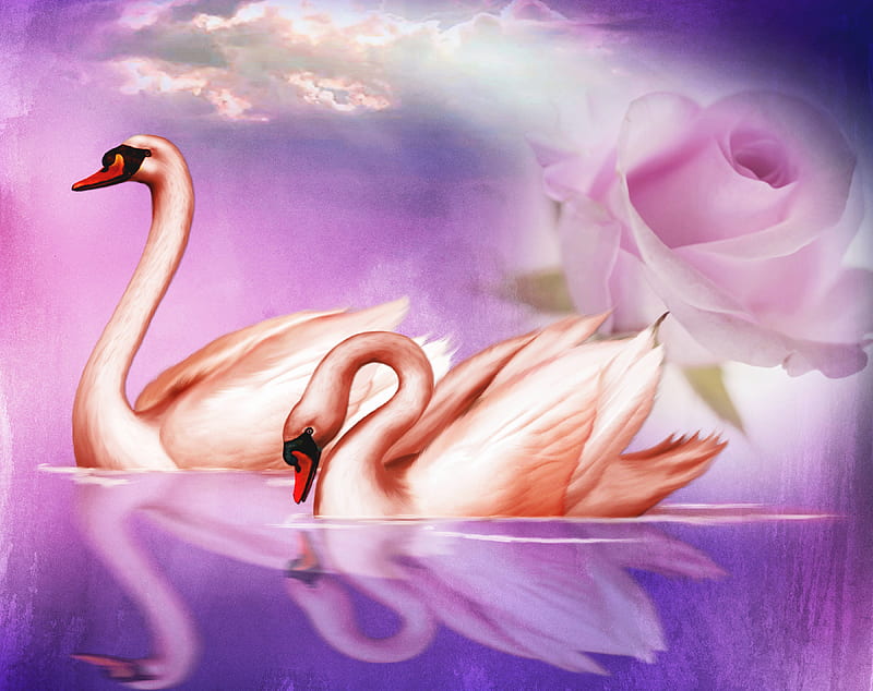 Pretty Swans, fantasy, rose, abstract, swan, pink, HD wallpaper | Peakpx