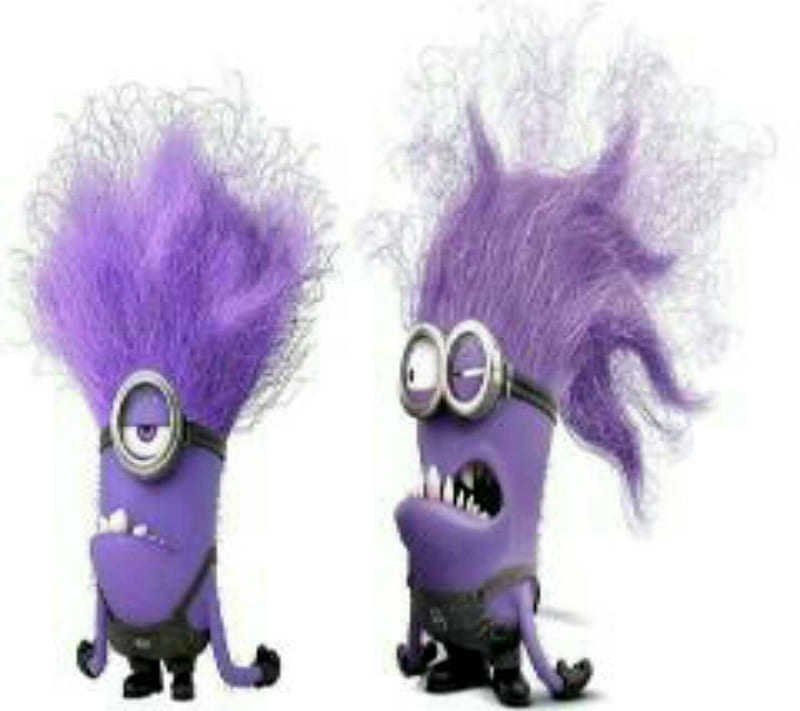 Purple angry minions, purple angry, HD wallpaper