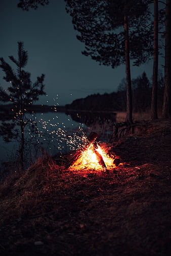 Bonfire, fire, sparks, dark, night, HD phone wallpaper | Peakpx