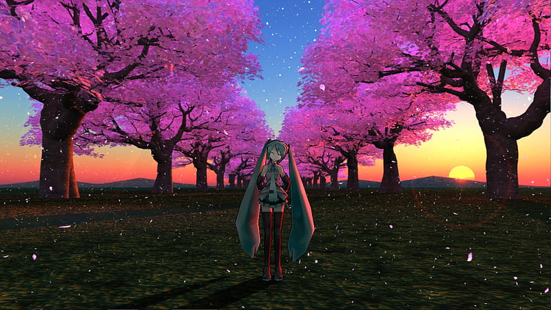 Sakura Tree Pathway, pretty, sun, orange, cg, yellow, sunset, clouds, nice,  anime, HD wallpaper | Peakpx