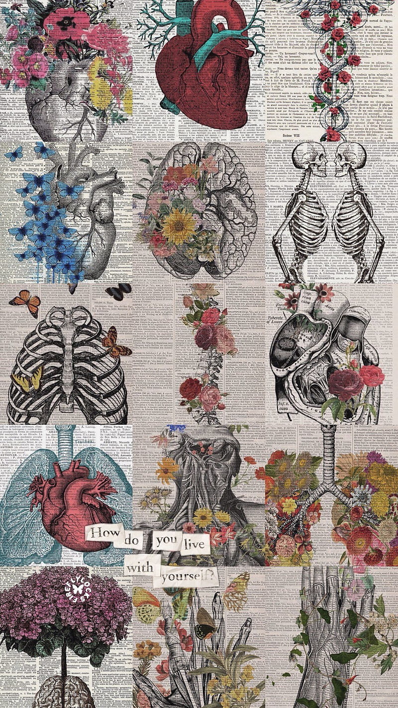 Stranger Things Season One Line T Shirt WHITE. Art , Anatomy Art, Medical, Anatomical, HD phone wallpaper