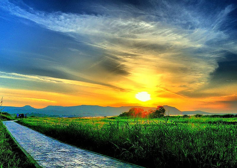 Yellow Sunset Yellow Sunset Bonito Hd Wallpaper Peakpx