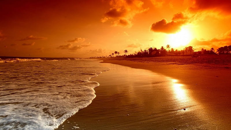 Golden Sunset, beach, warm, glow, golden, nature, sunset, twilight, reflection, HD wallpaper