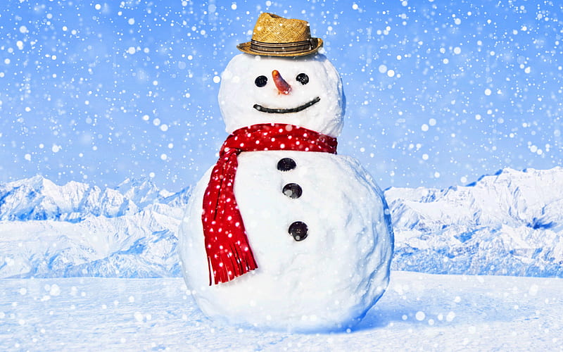 snowman snowfall, winter, christmas concepts, happy new year, snowmen, background with snowman, HD wallpaper