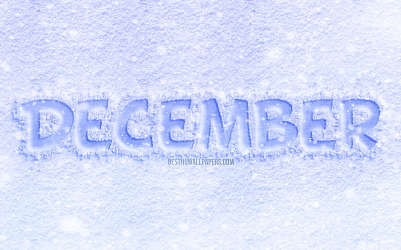 December, ice letters, white background, winter, December concepts, December on ice, December month, winter months, HD wallpaper