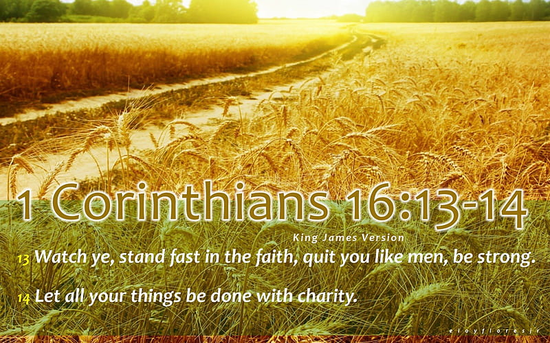 1 Corinthians 16:13-14, Bible Verse backgrounds, bible verse , bible quotes, bible verse , bible verse with a background, HD wallpaper