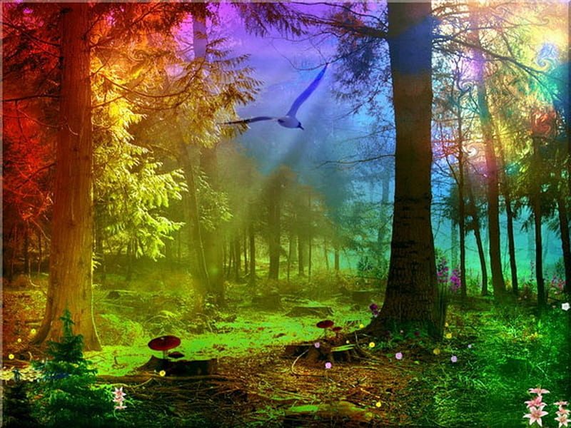 Rainbow Forest, fantasy, sun, bird, flowers, mushrooms, rainbow, trees, HD wallpaper