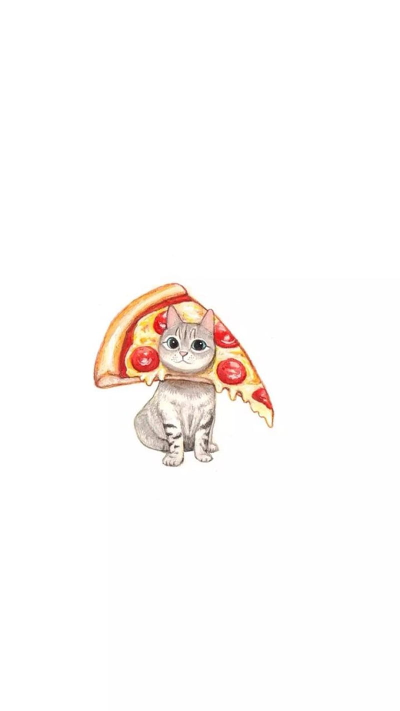 PIZZACAT, cat, cute, funny, pizza, tumblr, HD phone wallpaper