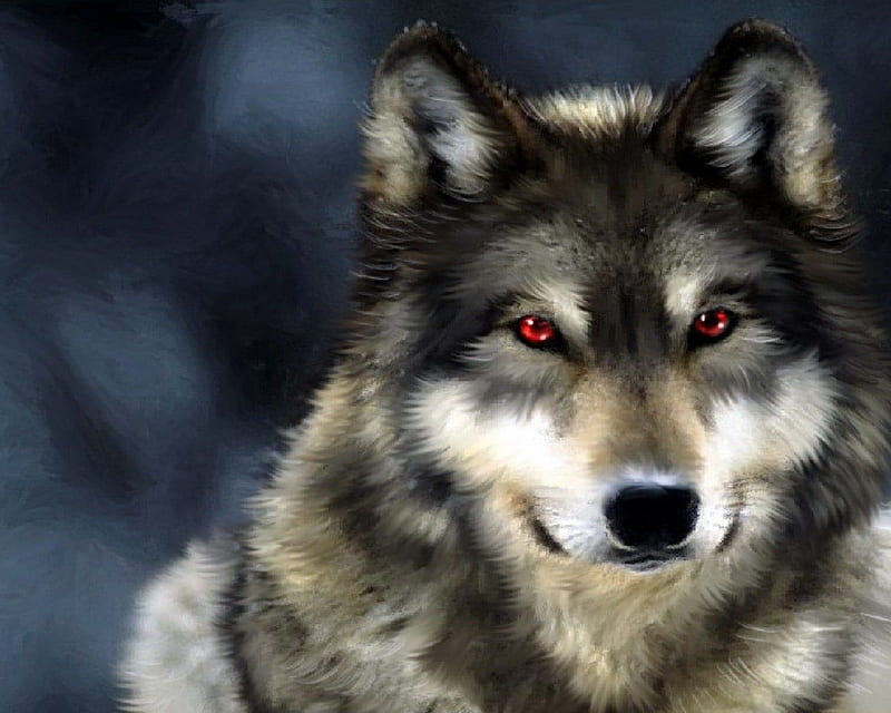 Red Eyes Gray Wolf, red, gray, wolf, eyes, animal, HD wallpaper