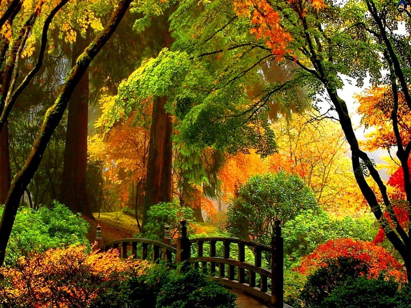 Autumn in park, colorful, autumn, wonderful, yellow, mixed, leaves, bridge, green, path, season, reddish, glowing, fantastic, colors, park, trees, nature, HD wallpaper