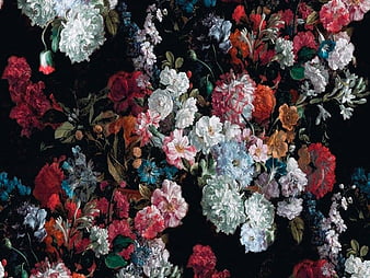 HD dark floral wallpapers  Peakpx
