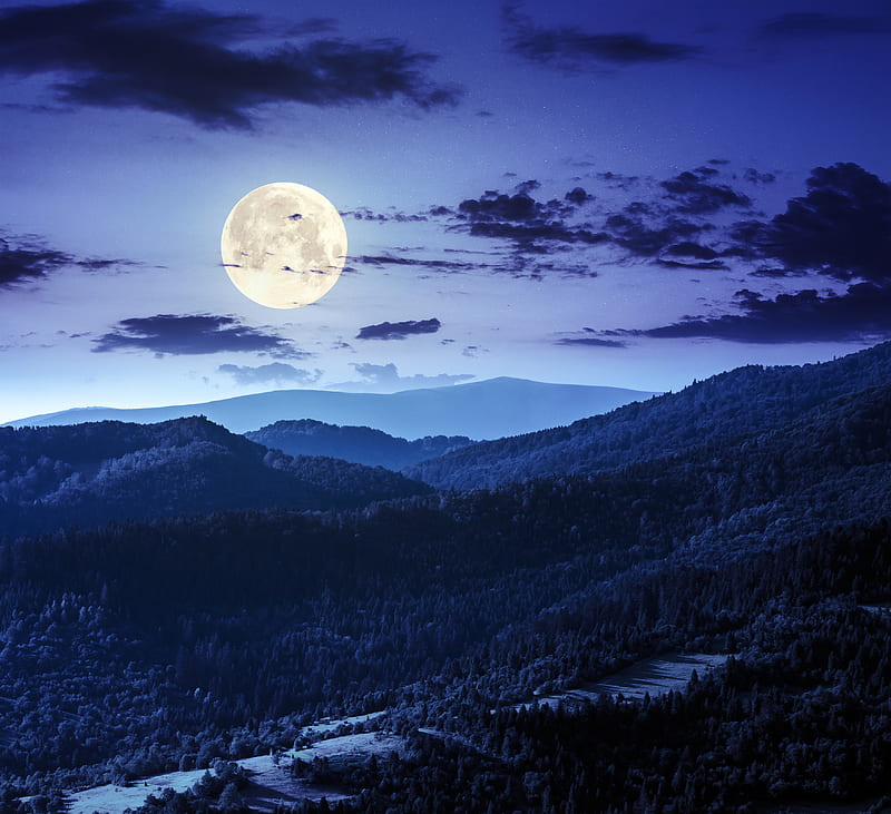 Forest Night Moon Clouds , moon, night, clouds, nature, morning, HD wallpaper