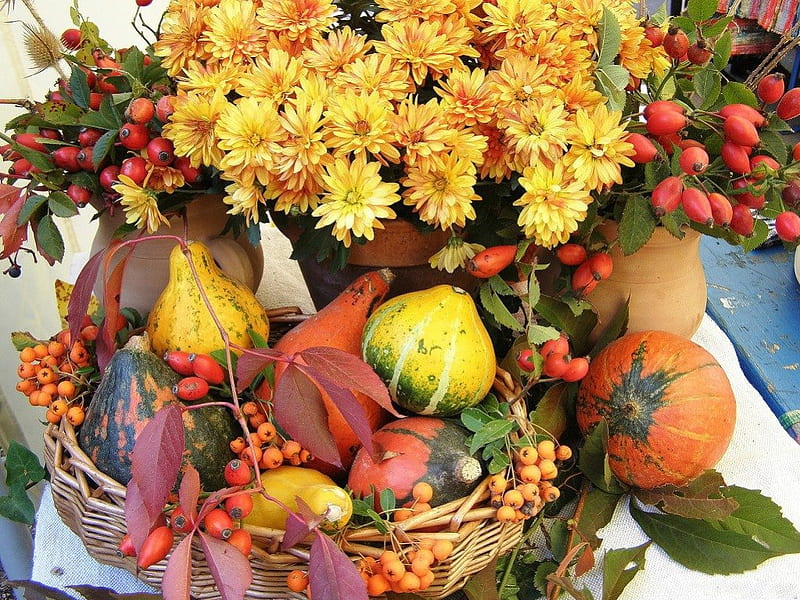 HARVEST FESTIVAL, autumn, food, halloween, seasons, daisies, still life, marrow, flowers, squashes, display, pumpkins, HD wallpaper